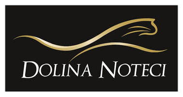 Dolina Noteci